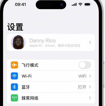 青川appleID维修服务iPhone设置中Apple ID显示为灰色无法使用 