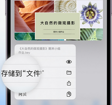 青川apple维修中心分享iPhone文件应用中存储和找到下载文件