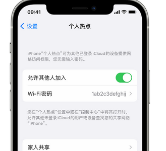 青川apple服务站点分享iPhone上个人热点丢失了怎么办 