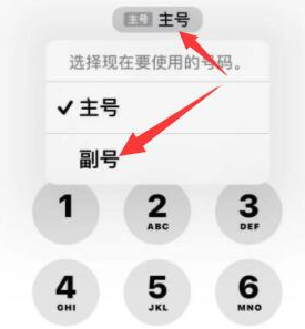 青川苹果14维修店分享iPhone 14 Pro Max使用副卡打电话的方法 