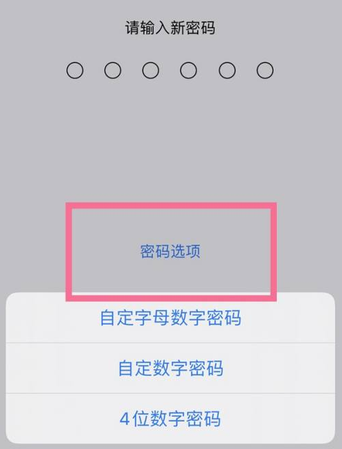 青川苹果14维修分享iPhone 14plus设置密码的方法 