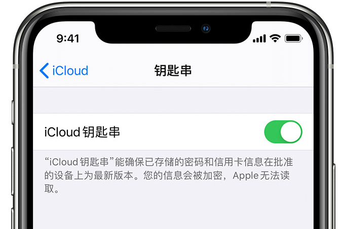 青川苹果手机维修分享在 iPhone 上开启 iCloud 钥匙串之后会储存哪些信息 